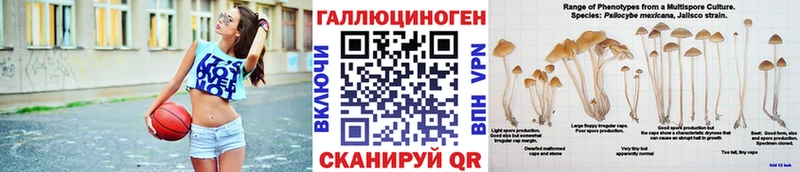 ссылка на мегу ССЫЛКА  Краснодар  Псилоцибиновые грибы мухоморы 